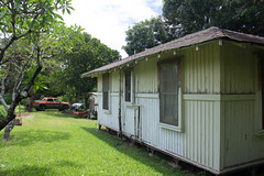 hawaiian house photo